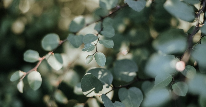 Counselling (in-person)