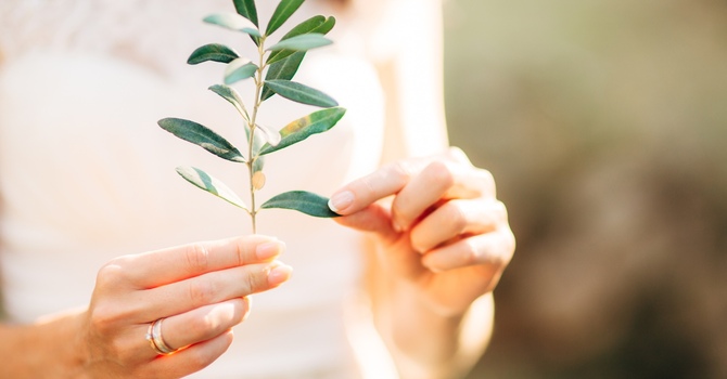 Counselling (in-person)